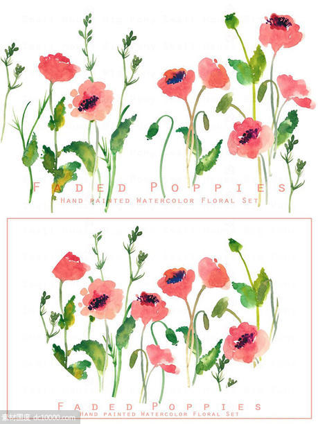 优雅水彩手绘罂粟花矢量插画 Faded Poppies-Watercolor Clip Art - 源文件