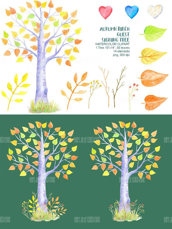 水彩秋季桦木客人签名树插画 Autumn Birch Guest Signing Tree