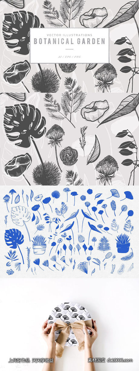 手绘有机植物矢量插图集 Botanical Garden Vector Graphics-源文件-素材国度dc10000.com