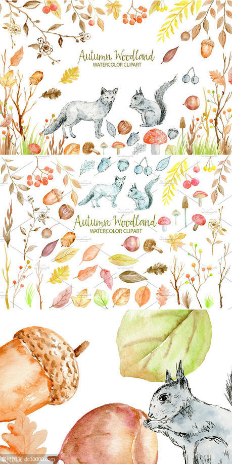 水彩秋季林地剪贴画合集 Watercolor Clipart Autumn Woodland - 源文件