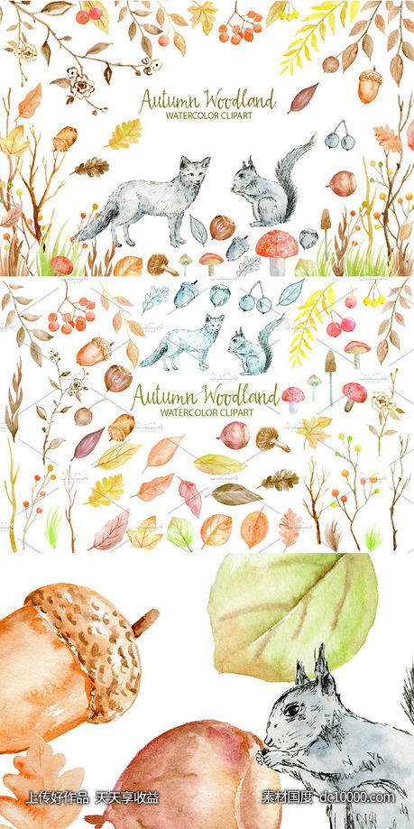 水彩秋季林地剪贴画合集 Watercolor Clipart Autumn Woodland - 源文件