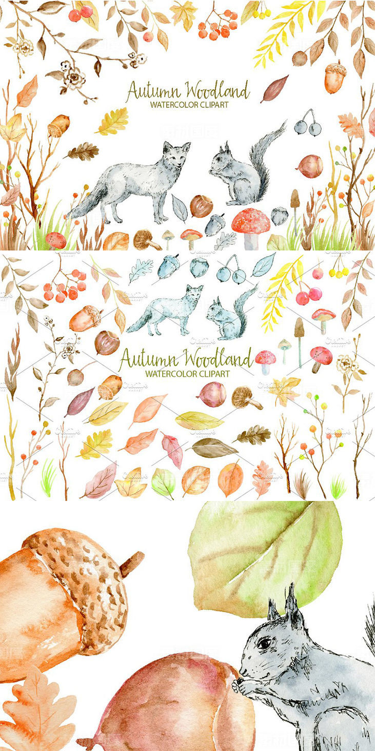 水彩秋季林地剪贴画合集 Watercolor Clipart Autumn Woodland