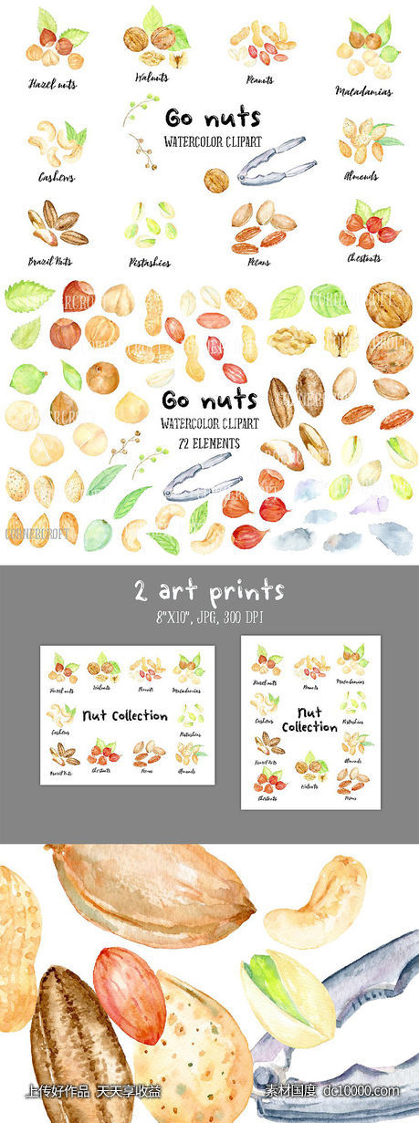 手绘卡通化水彩坚果插图 Watercolor Nuts Illustration-源文件-素材国度dc10000.com