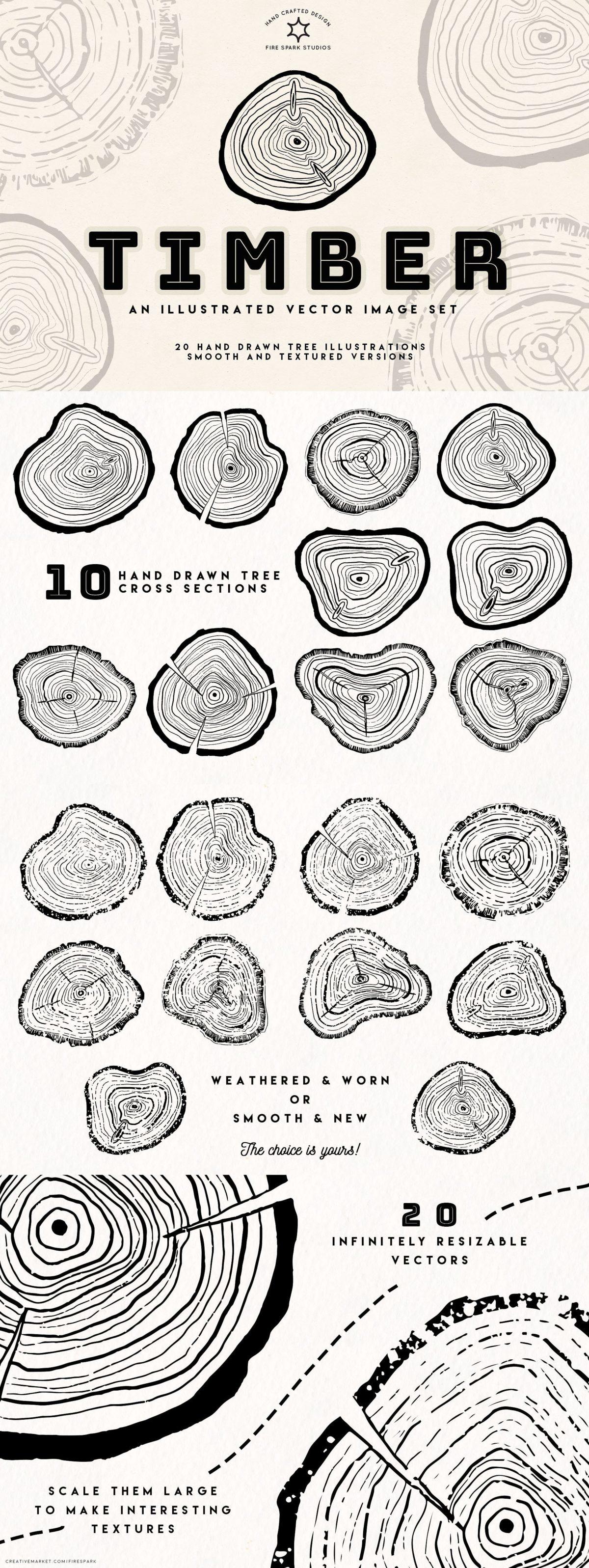 手绘树木年轮矢量图像合集 Timber ndash Hand Drawn Vector Image Set
