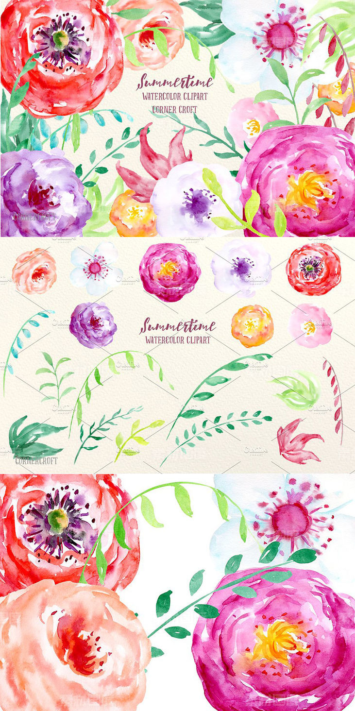 夏季水彩装饰艺术花卉剪贴画 Watercolor Flowers Summertime