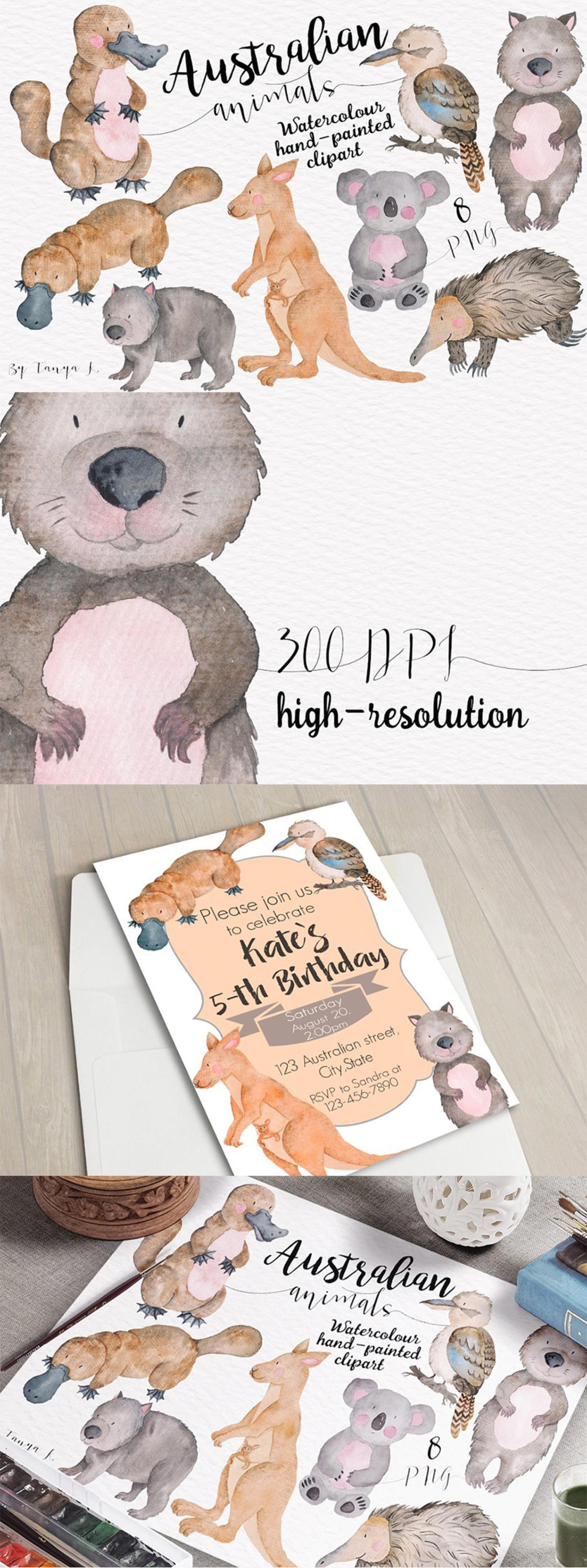 澳大利亚动物水彩剪贴画合集 Australian Watercolor Animals Set