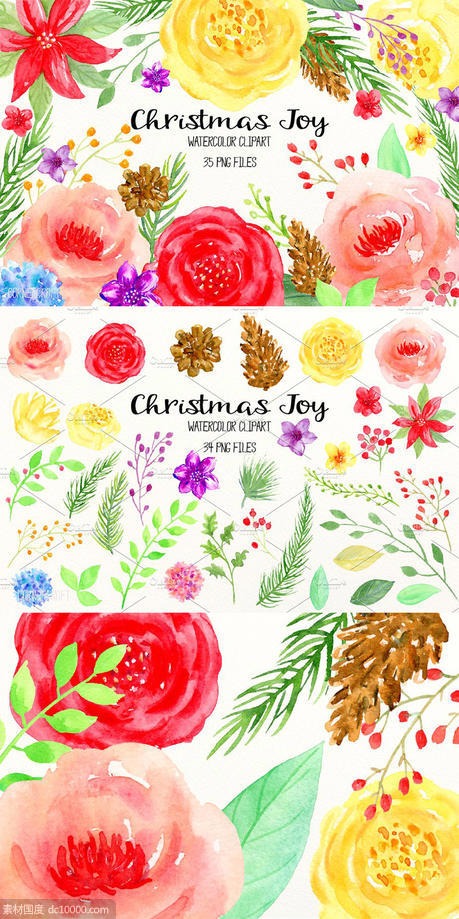鲜亮喜庆的手绘彩色花卉松果插画 Watercolor Clipart Christmas Joy - 源文件
