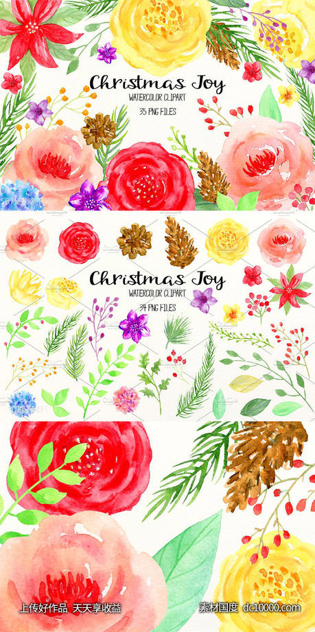 鲜亮喜庆的手绘彩色花卉松果插画 Watercolor Clipart Christmas Joy-源文件-素材国度dc10000.com