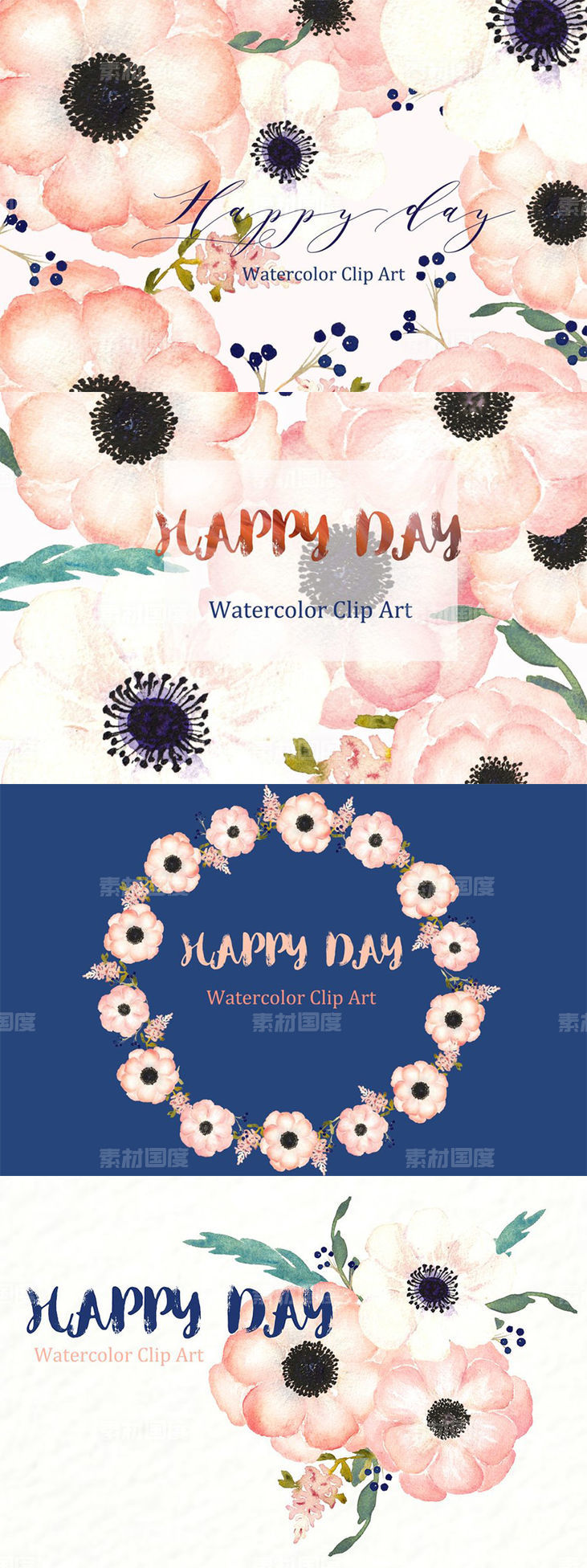 柔和粉彩矢量手绘海葵插画 Anemones Apricot. Watercolor flowers