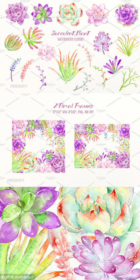 明亮的粉紫色多肉植物插画花卉框架 Watercolor Succulent Plant - 源文件