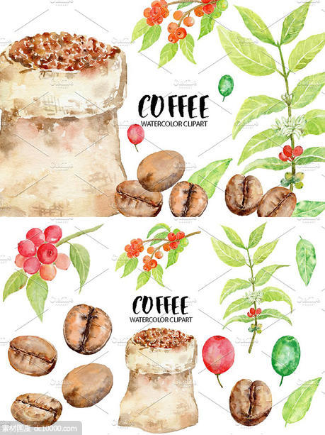 手绘水彩咖啡豆种植剪贴画 Watercolor Coffee Beans Clipart - 源文件