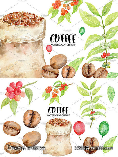 手绘水彩咖啡豆种植剪贴画 Watercolor Coffee Beans Clipart - 源文件