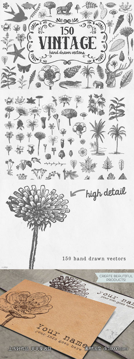 复古手绘动植物水彩插图 Vintage Vector Illustrations-源文件-素材国度dc10000.com