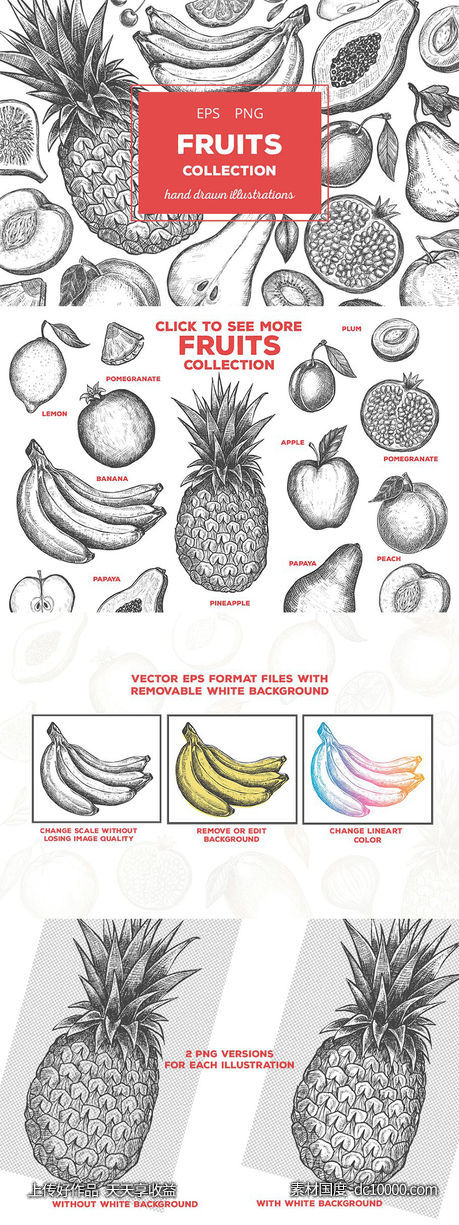 粗略风水果素描插图合集 Fruits Illustrations - 源文件