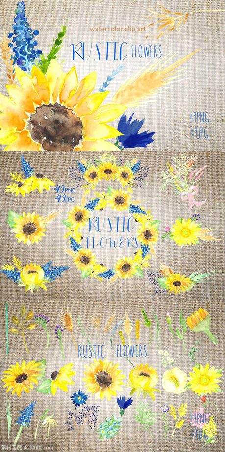 美丽手绘水彩田野草本植物插画 Sunflowers rustic watercolor clipart - 源文件