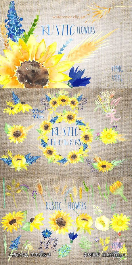 美丽手绘水彩田野草本植物插画 Sunflowers rustic watercolor clipart-源文件-素材国度dc10000.com