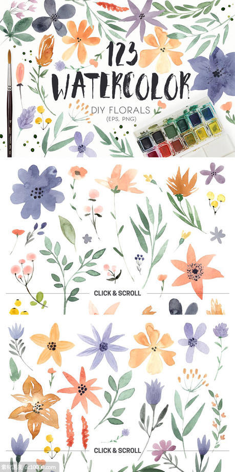 DIY水彩花叶系列元素合集 123 DIY Watercolor Flowers (EPS,PNG) - 源文件