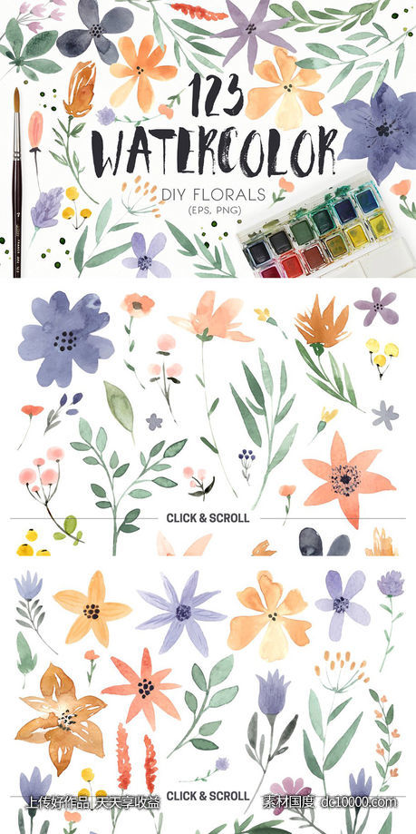 DIY水彩花叶系列元素合集 123 DIY Watercolor Flowers (EPS,PNG) - 源文件