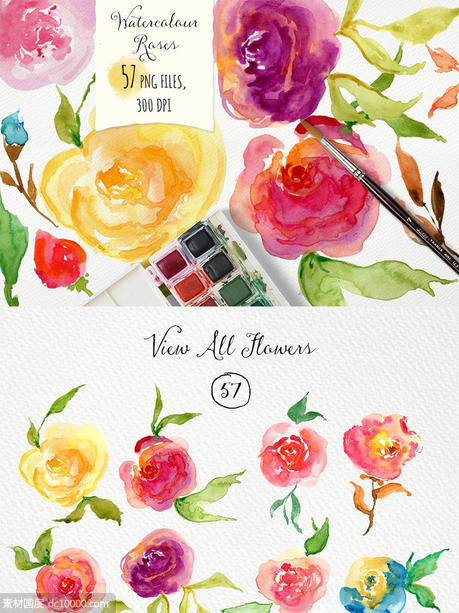 手绘水彩玫瑰图形元素 Watercolor Roses DIY - 源文件