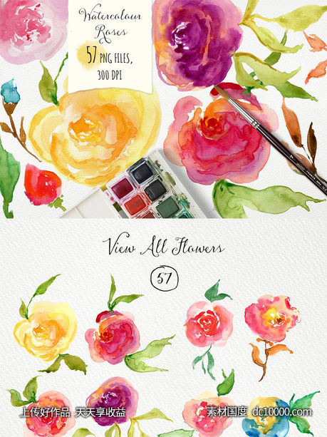 手绘水彩玫瑰图形元素 Watercolor Roses DIY-源文件-素材国度dc10000.com