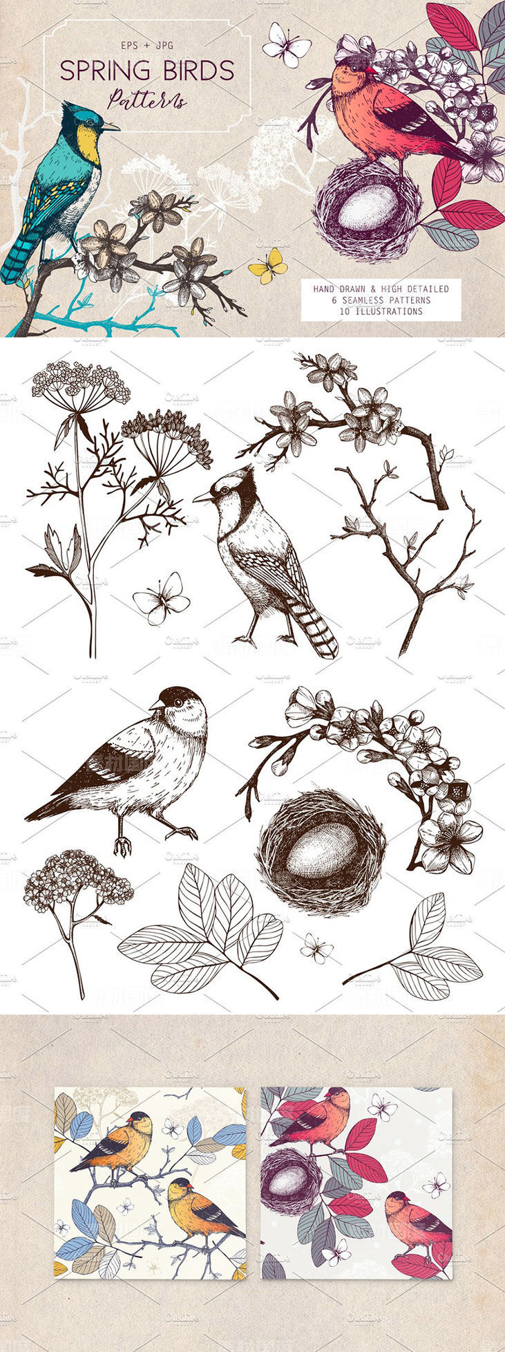 春季手绘小鸟自然元素 Hand Drawn Spring Birds Patterns