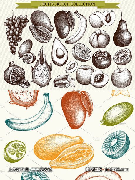 墨水手绘矢量水果插图 Vector Fruits Illustrations Set - 源文件