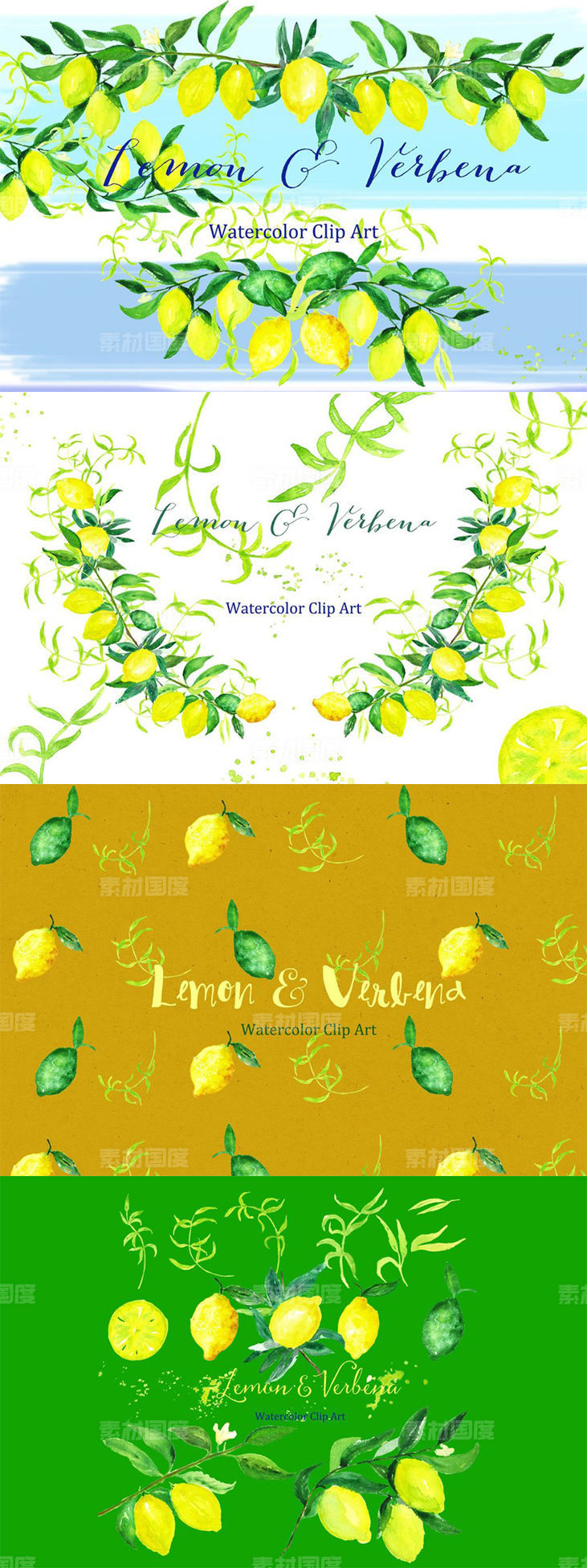 浪漫温柔的水彩柠檬马鞭草元素 Lemon  verbena. watercolors