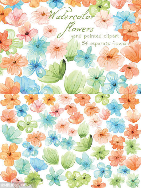 浅色调水彩花卉插画素材 Watercolor Flowers Floral - 源文件
