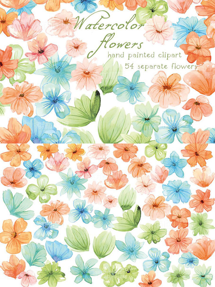 浅色调水彩花卉插画素材 Watercolor Flowers Floral