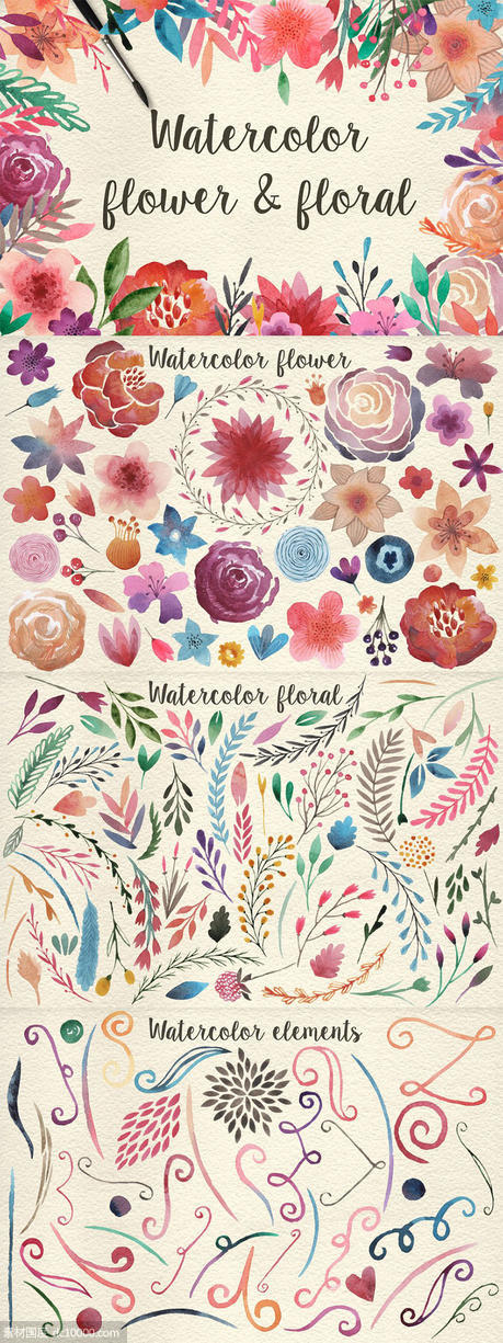 159朵清新手绘水彩花卉插画 159 Watercolor flowers  florals Pro - 源文件