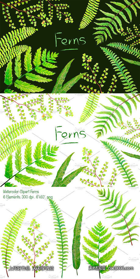 6款水彩手绘绿植蕨叶剪贴画 Watercolor Clipart Fern Leaves - 源文件