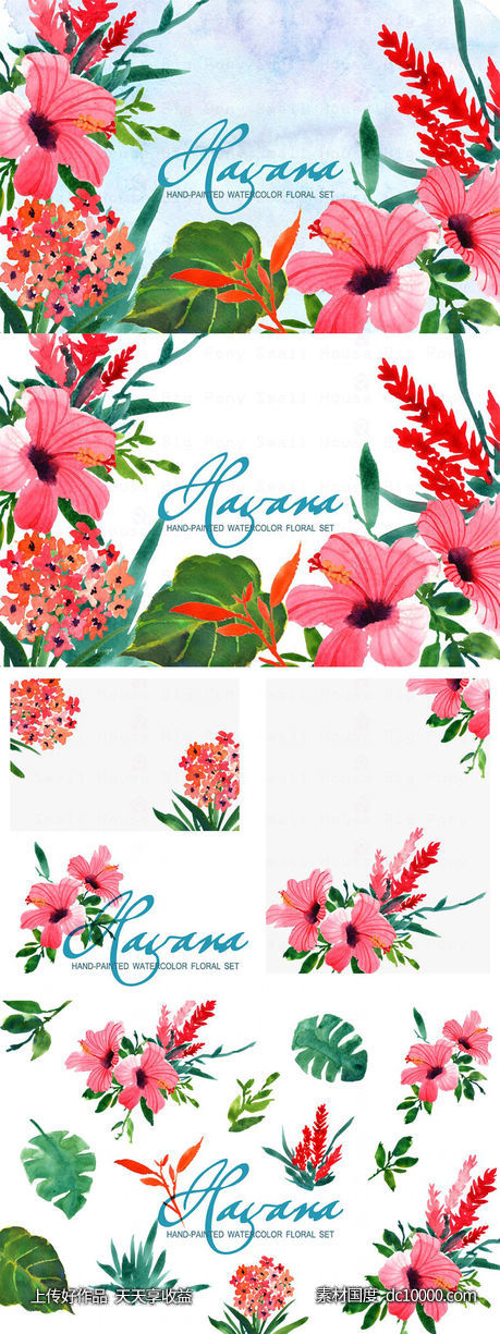 水彩花卉艺术剪贴画 Havana- Watercolor Clip Art-源文件-素材国度dc10000.com