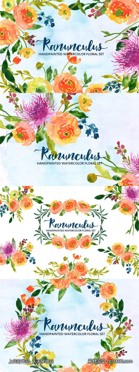 水彩手绘毛茛植物剪贴画 Ranunculus- Watercolor Clip Art-源文件-素材国度dc10000.com