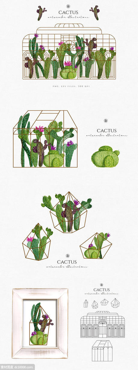 水彩仙人掌插图合集 Cactus watercolor illustrations - 源文件