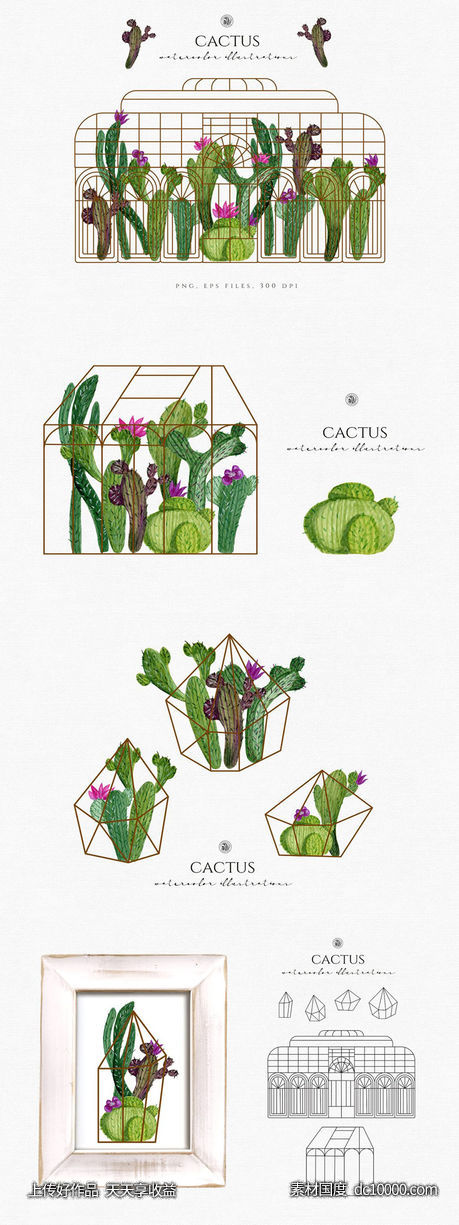 水彩仙人掌插图合集 Cactus watercolor illustrations - 源文件