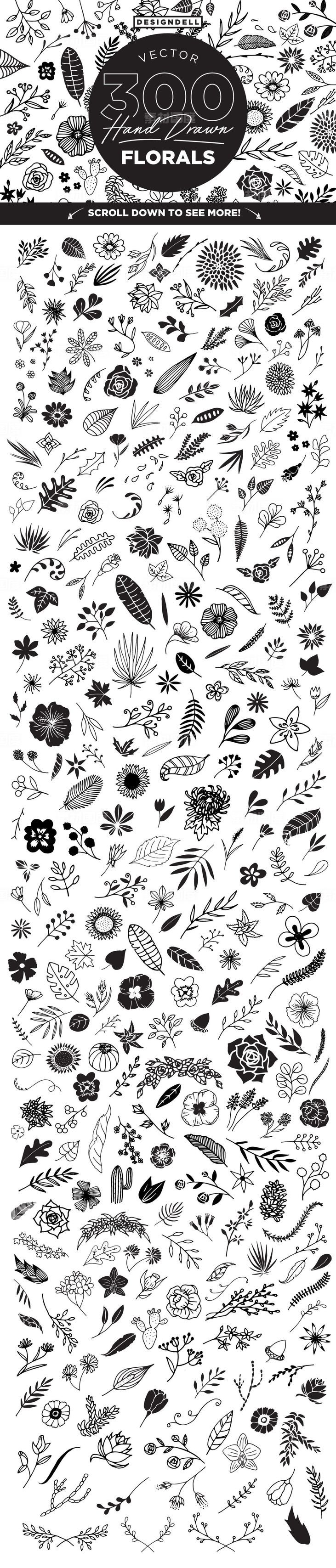 300幅手绘线条艺术风格花卉剪贴画 300 Hand Drawn Florals