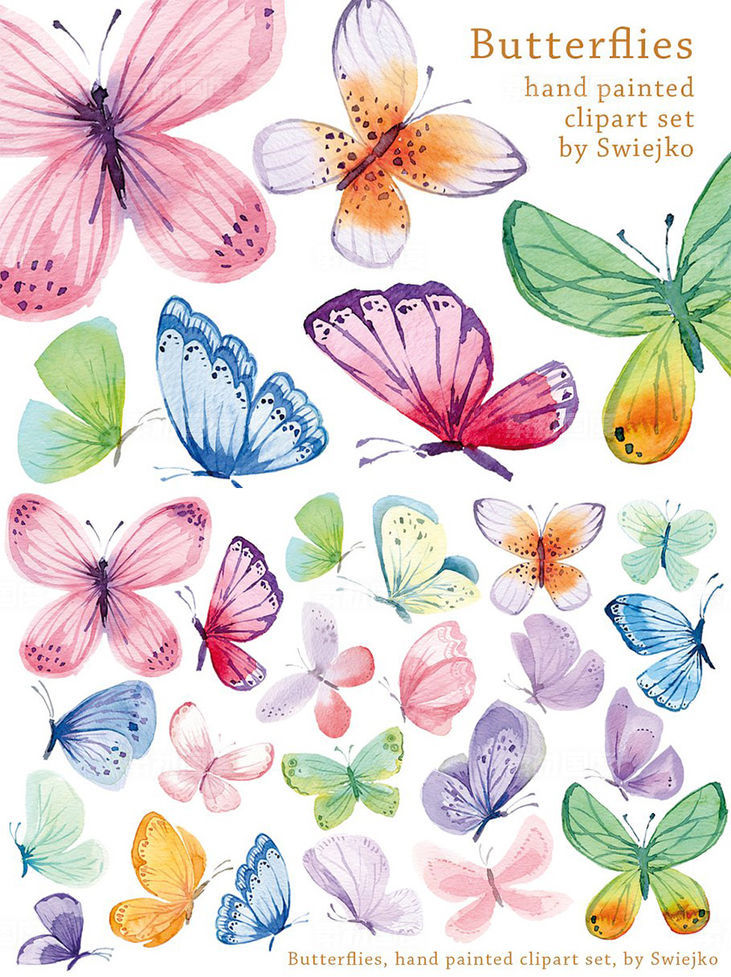 美丽浪漫的手绘水彩蝴蝶插图 Watercolor Butterflies