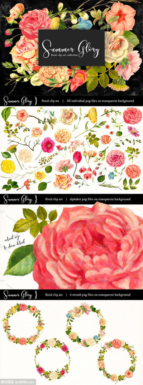 复古盛夏花卉主题素材合集 Floral Clip Art ndash Summer Glory - 源文件