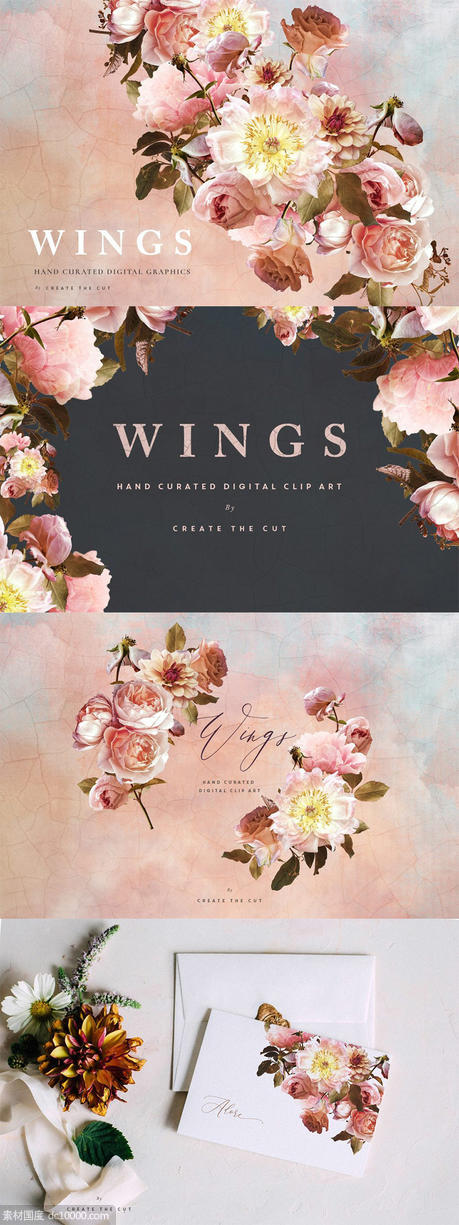 数字手绘粉色绽放牡丹插画 Digital Flower Clip Art ndash Wings - 源文件