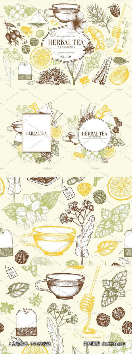 老式凉茶草药成分矢量插图合集 Vector Herbal Tea Ingredients Set - 源文件