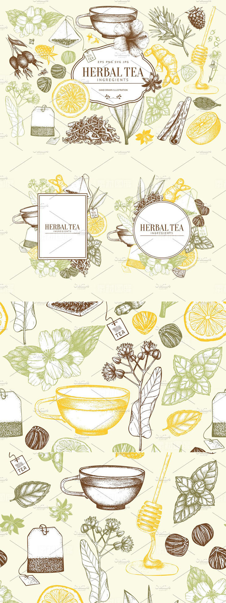 老式凉茶草药成分矢量插图合集 Vector Herbal Tea Ingredients Set
