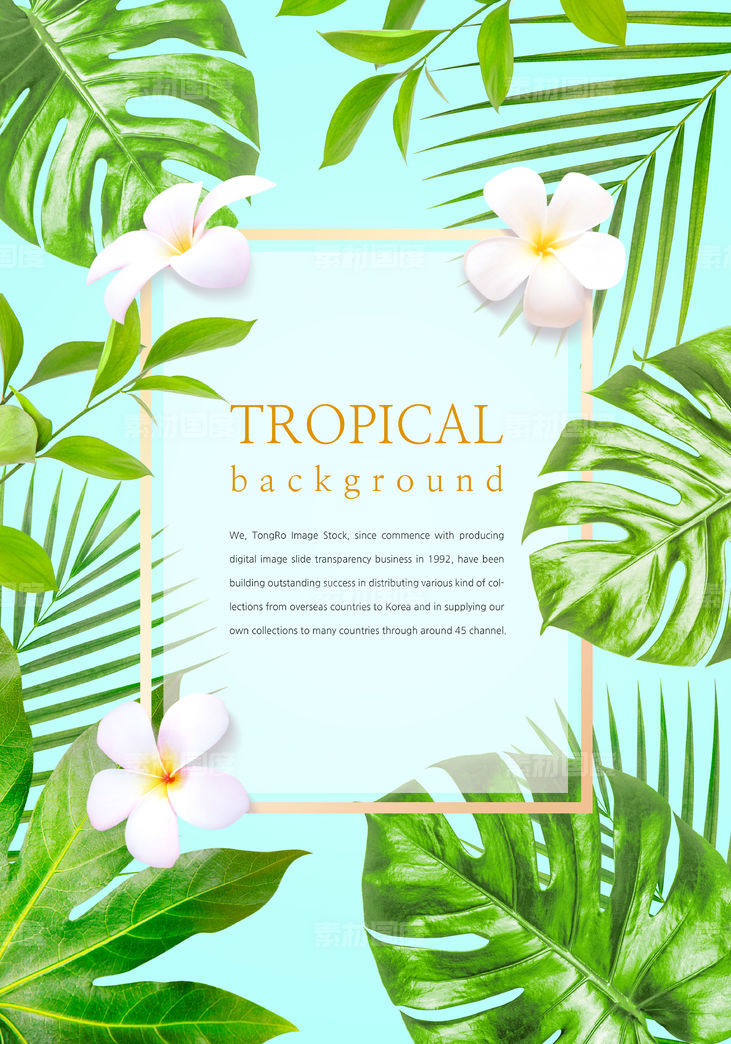 热带植物元素背景图片设计素材【psd】