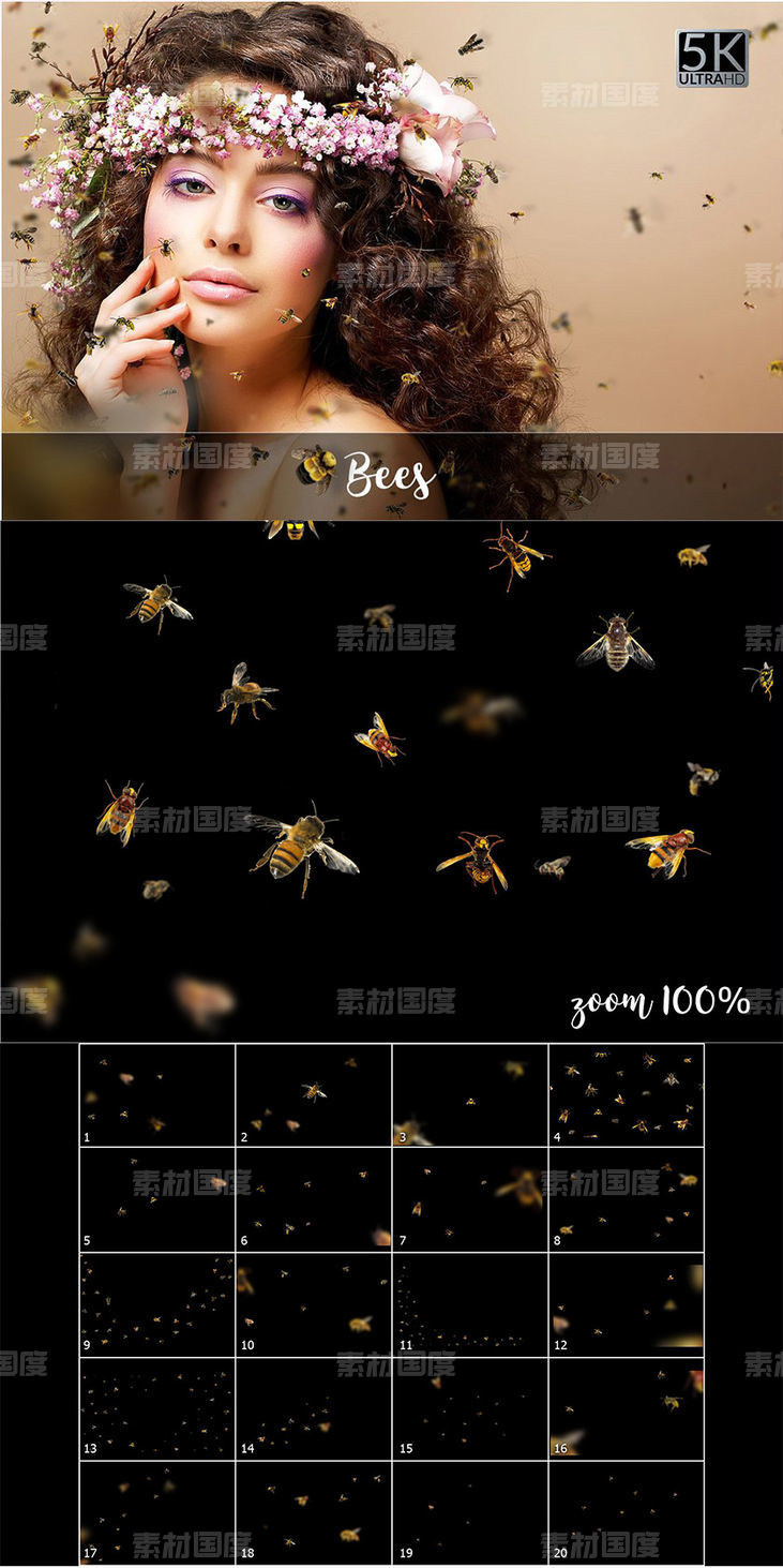 5K高清分辨率蜜蜂叠层背景素材【PNG,PDF】