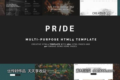 现代设计风格高度可定制响应式HTML5网站模板【HTML,CSS,JS】-源文件-素材国度dc10000.com