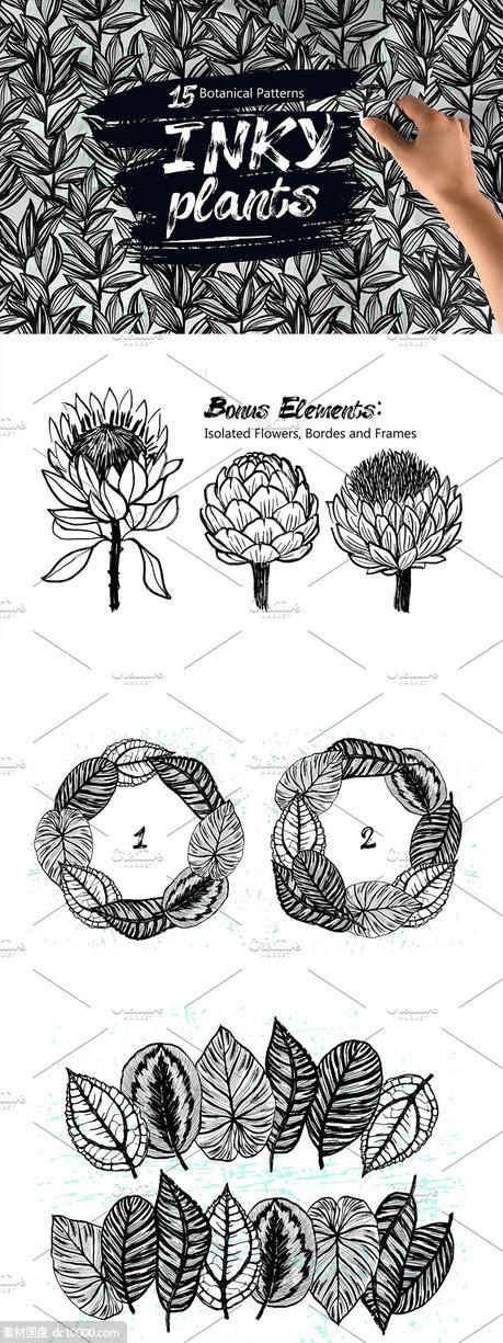 15个黑白手绘植物图案素材[EPS] - 源文件