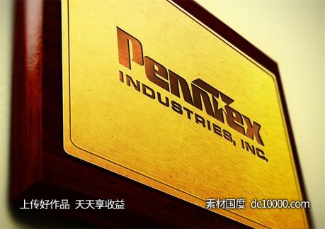 LOGO贴图样机PSD展示效果图-源文件-素材国度dc10000.com