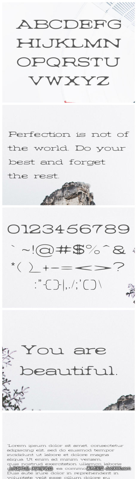 精选的英文字体-源文件-素材国度dc10000.com