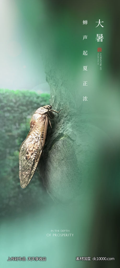二十四节气海报-源文件-素材国度dc10000.com