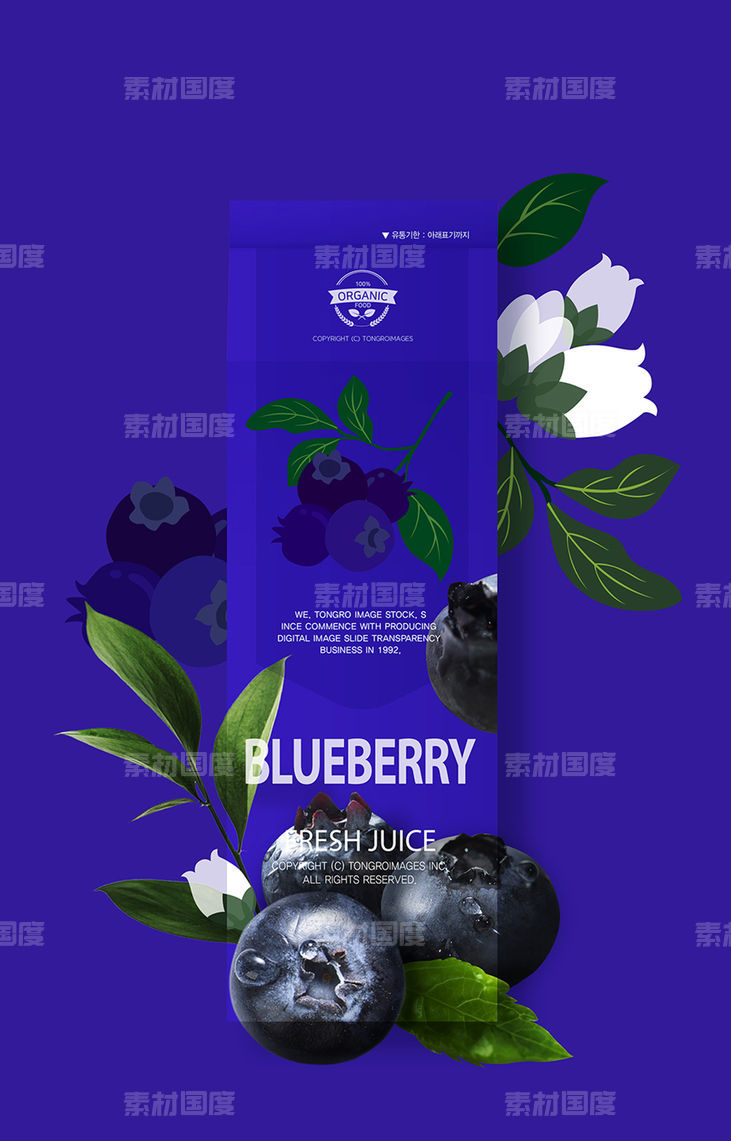 品牌水果饮料柠檬橘子菠萝草莓蓝莓梨子海报PSD分层设计素材