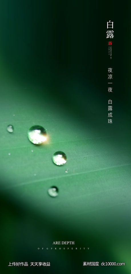 水珠 补水 节气海报 白露  植物精华 房地产 高级-源文件-素材国度dc10000.com